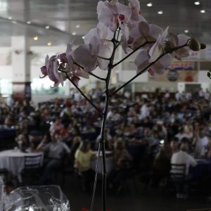 54ª Gestão - Evento do Porco no Rolete
