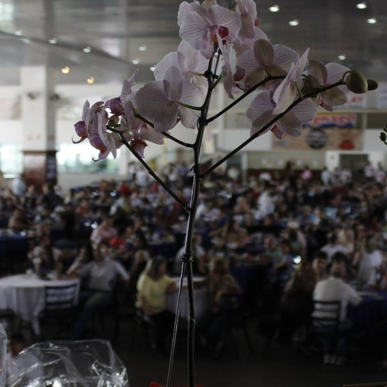 54ª Gestão - Evento do Porco no Rolete